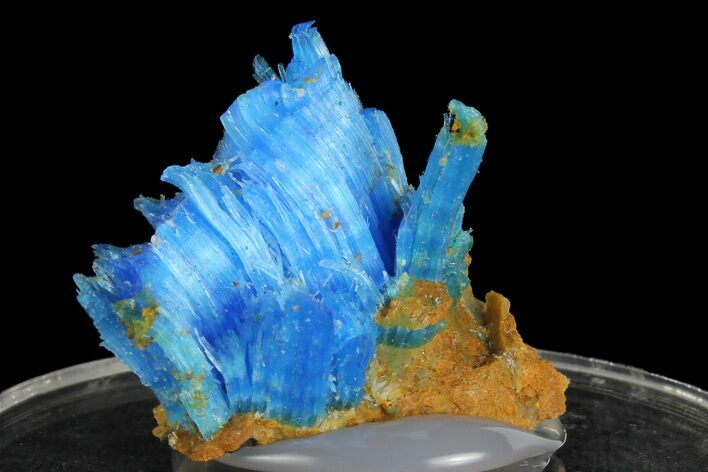 Vibrant Blue Chalcanthite - Planet Mine, Arizona #176485